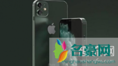 ios14画中画怎么用不了