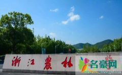 小姆苟呢微博截图 如何看待小姆苟呢