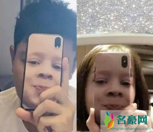 金晨贾乃亮