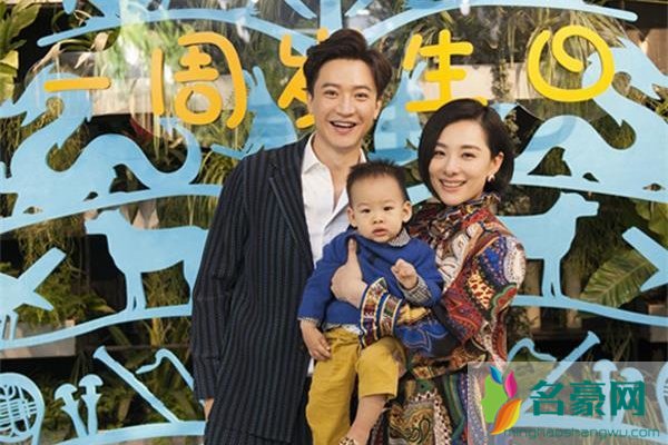 刘璇和王弢怎么认识的 夫妻哪一方是美国人