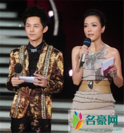 汪涵老婆怒扇何炅真相 这么精明的两口子还被骗