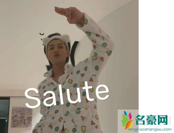 我向你敬礼salute什么梗什么意思 我向你敬礼salute表情包高清下载