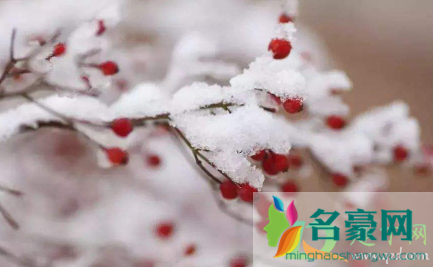 2020仲冬时节祝福语朋友圈怎么发5