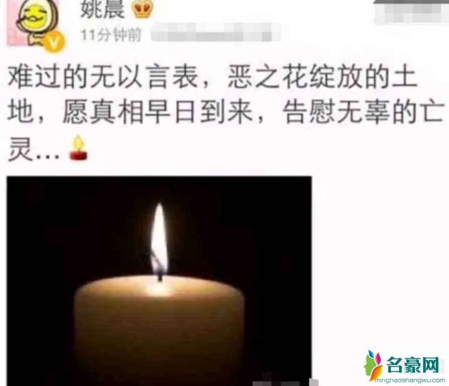 恶之花姚晨是什么意思 恶之花是什么事件