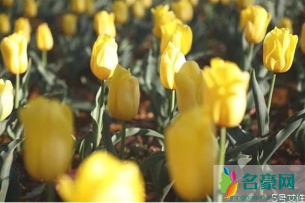 怎样挽回出轨的丈夫 觉得老公有外遇了怎么办