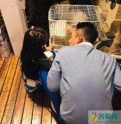 汪小菲陪女儿喂兔子 汪小菲满满的父爱溢于言表