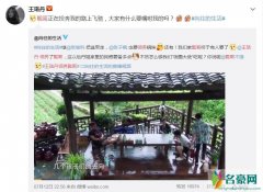 王珞丹领养瓢哥 网友真情劝告她多准备一些狗粮