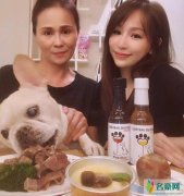 王心凌帮爱犬庆生 网友感叹：如今人活得不如狗好