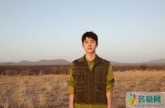 刘昊然做公益与大象亲密接触 刘昊然伫立微笑令人