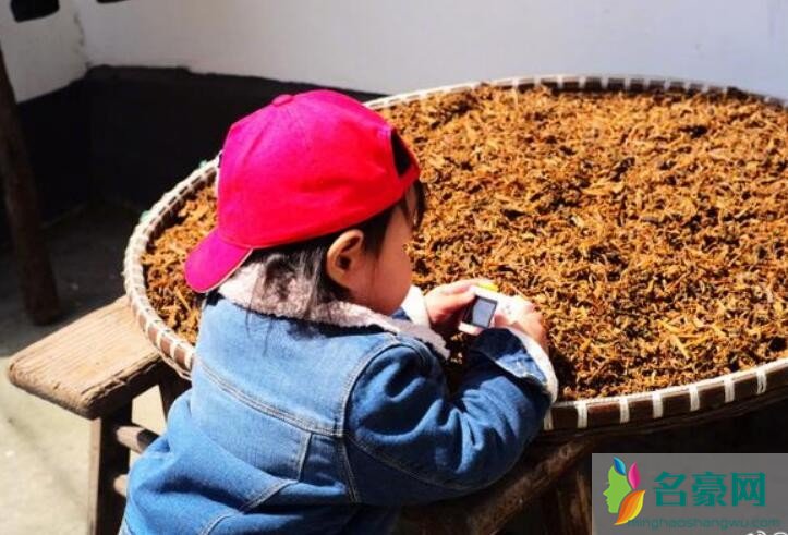 朱丹偷拍女儿照片