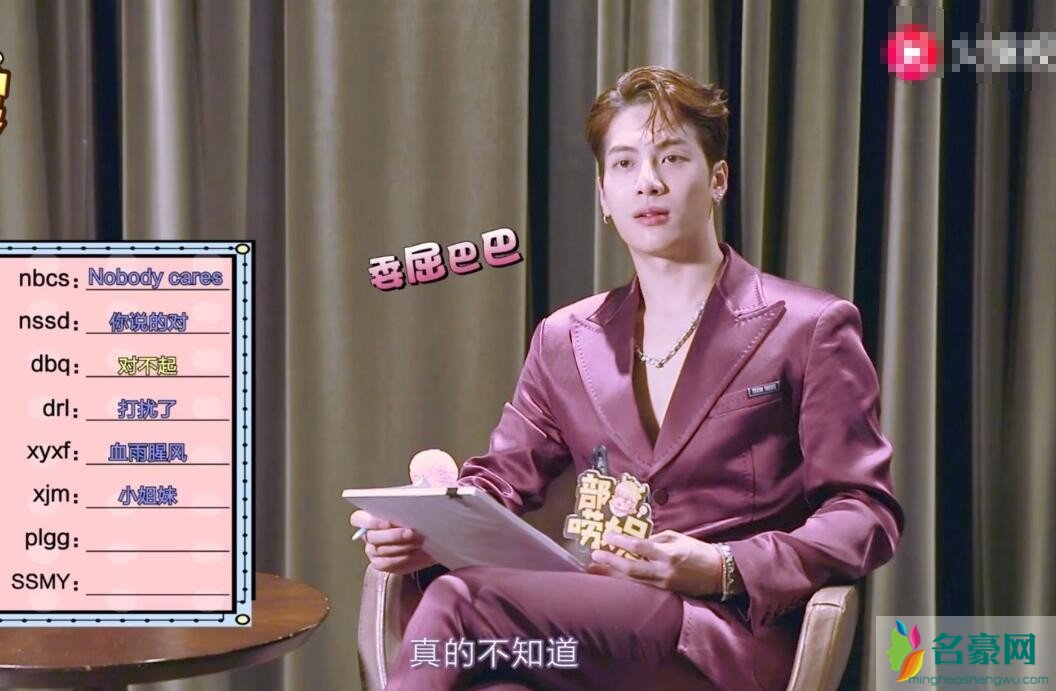 王嘉尔采访截图