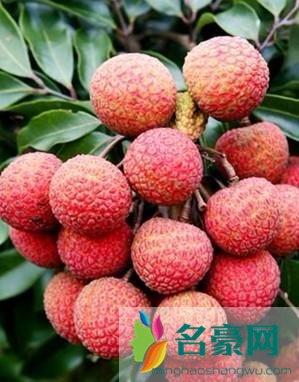 吃什么可以美白？15种美白食物任你选
