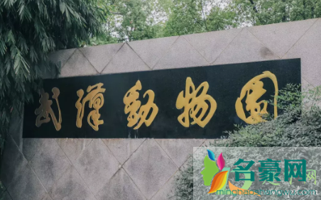 武汉动物园2021年1月1日关闭是真的吗3