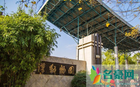 武汉动物园2021年1月1日关闭是真的吗4