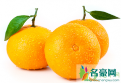 果冻橙吃了致癌真的假的 目前最好吃的4个品种柑橘