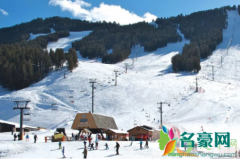 2021过年能去日本滑雪吗 2021年春节会不会恢复国际游