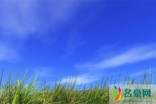 凤凰男为什么没有真爱 凤凰男的劣根性