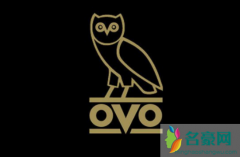 OVO猫头鹰是什么牌子？Drake的OVO为何这么火