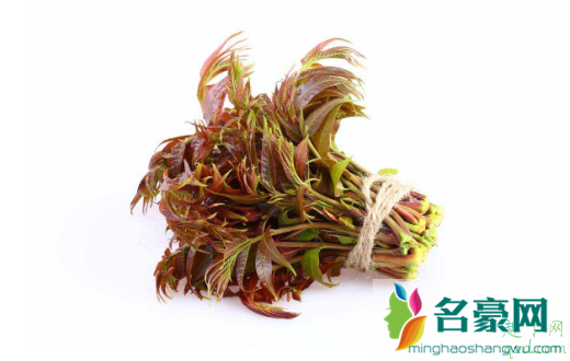香椿芽怎么放时间长 香椿怎样能保鲜时间长一点2