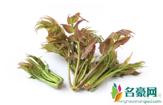 香椿芽怎么放时间长 香椿怎样能保鲜时间长一点1