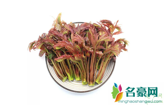 香椿芽怎么放时间长 香椿怎样能保鲜时间长一点3