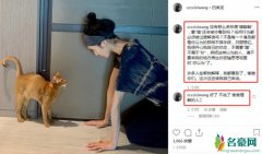 王紫璇回应与李现绯闻 称自己不需要“蹭”热度
