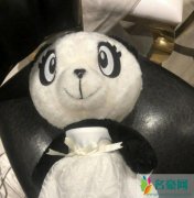 吴昕向钟汉良道歉 接受所有的批评都是我的错