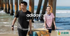 Adidas有哪几个系列？