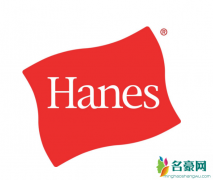 Hanes品牌怎么样？Hanes品牌质量如何