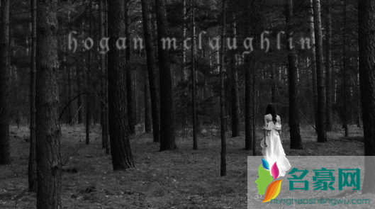 Hogan McLaughlin是什么品牌 Hogan McLaughlin品牌是什么风格
