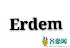 Erdem是什么品牌？Erdem与hm联名系列