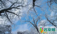 2020年冬天降雪量大吗 2020年冬天冷到什么时候