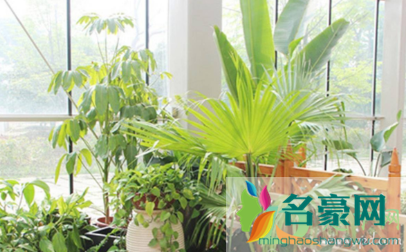 室内睡觉干燥怎么回事4