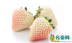 草莓是白色的是不是没熟 草莓怎么清洗干净