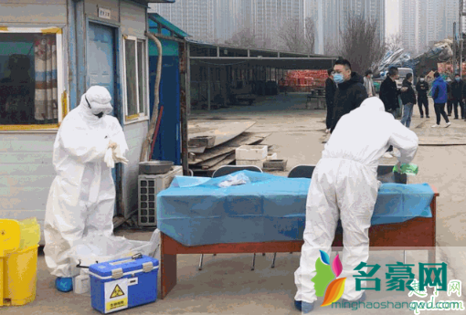 生理期可以做核酸检测吗 生理期会影响核酸检测吗1