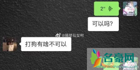 当你问男朋友可以吗什么梗4