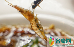 醉虾是用什么虾来做 吃醉虾生寄生虫吗