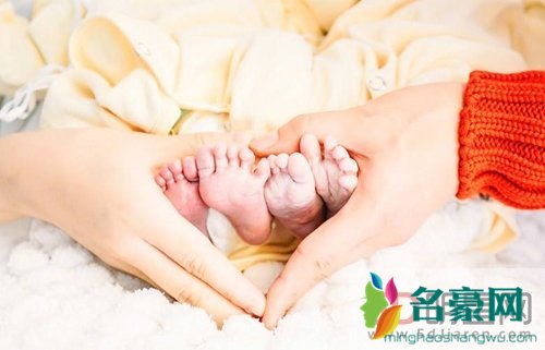 谢娜是做的试管婴儿吗 做试管女人要承受很大痛苦的