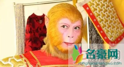 央视不请六小龄童原因 大圣代表着反抗精神与和谐社会矛盾