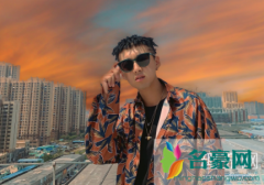 盆栽脏辫一般多少根 盆栽脏辫怎么打理