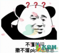 撒不溜pipo什么梗 撒不溜pipo出自哪