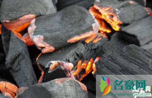 烧过的木炭能做花肥吗 木炭灰可以养哪些花1