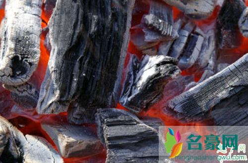 烧过的木炭能做花肥吗 木炭灰可以养哪些花2