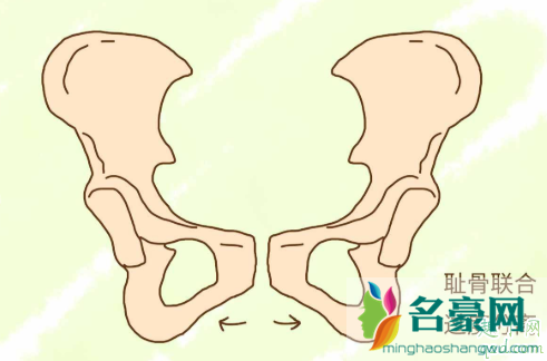 孕中期耻骨疼的走不了路怎么办 孕期耻骨疼起来真要命1