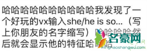 输入she is so什么梗 微信输入she is so怎么玩4