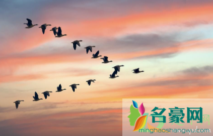 2021春占是什么时候3