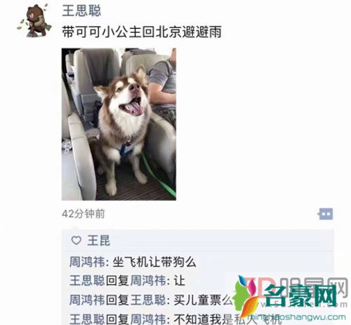 王思聪的狗狗丢失 悬赏百万结局竟然是这样
