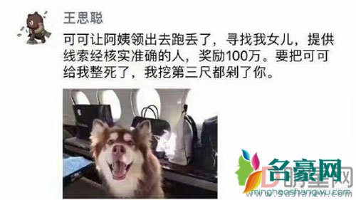 王思聪的狗狗丢失 悬赏百万结局竟然是这样