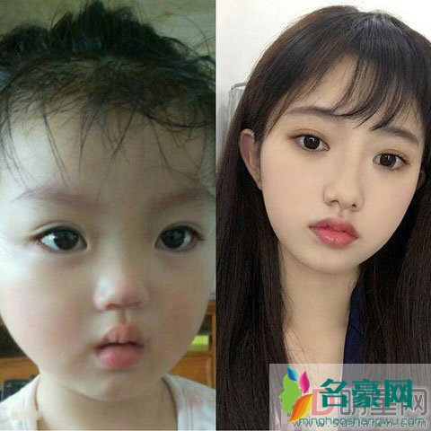 阿拉蕾上节目竟是为了养弟弟 活捉一枚长大后的阿拉蕾