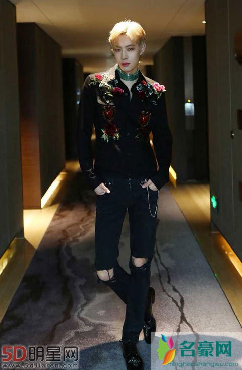 木子洋哪里人、原名、年龄 初印象又是花美男选秀